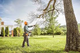 Best Soil Testing and Treatment  in Mcdonough, GA