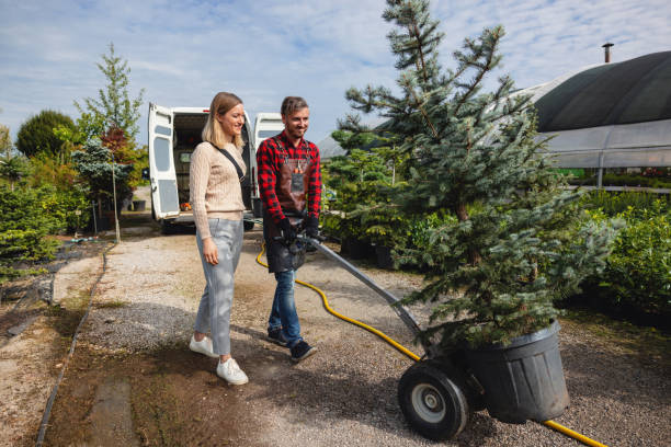 Best Lawn Dethatching  in Mcdonough, GA